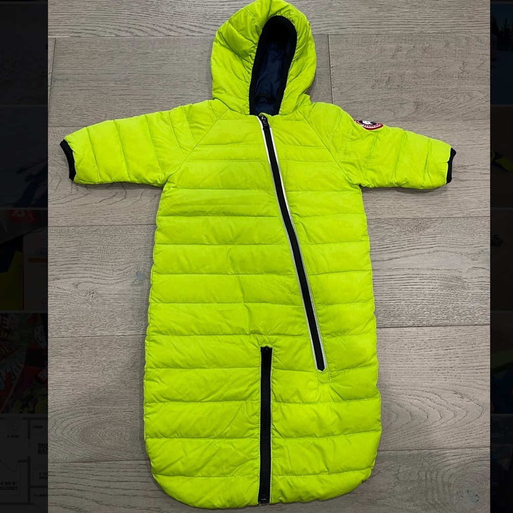 Canada Goose bunting